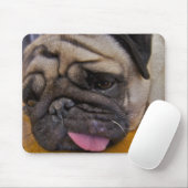 Pug had een te veel Muismat (Met muis)