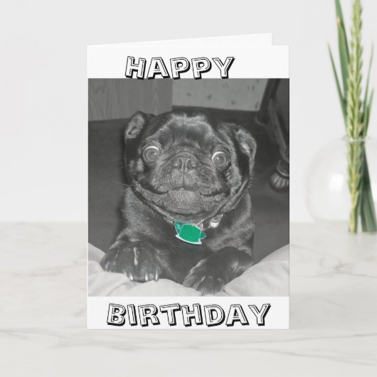 Pug Happy Birthday kaart (Voorkant)