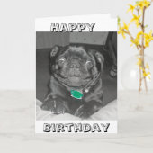 Pug Happy Birthday kaart (Gele Bloem)