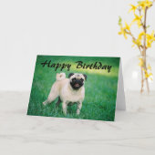 Pug Happy Birthday Kaart (Gele Bloem)