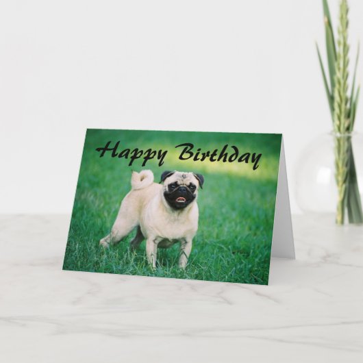 Pug Happy Birthday Kaart (Voorkant)
