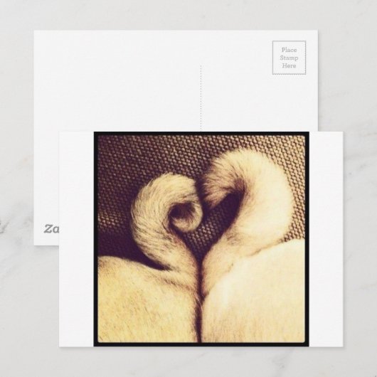 Pug-hartdetails Briefkaart (Voorkant / Achterkant)