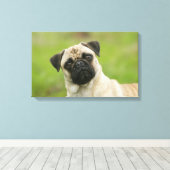 Pug Head die naar camera kijkt Canvas Afdruk (Insitu (Houten vloer))