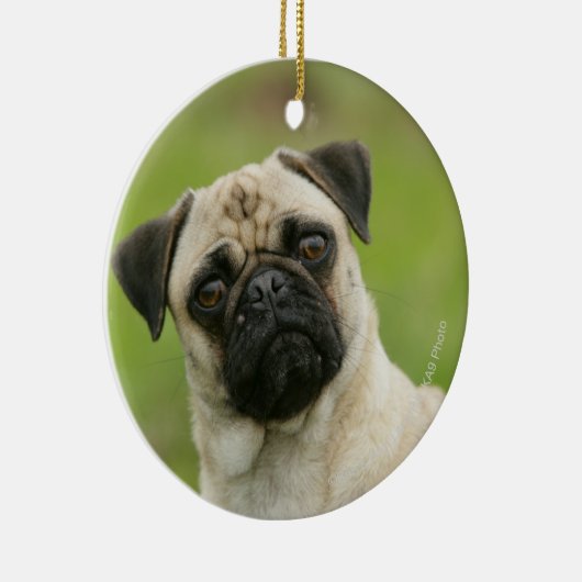 Pug Head die naar camera kijkt Keramisch Ornament (Rechts)