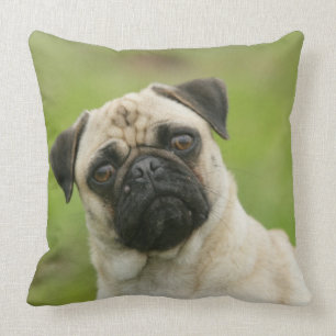 Pug Head die naar camera kijkt Kussen
