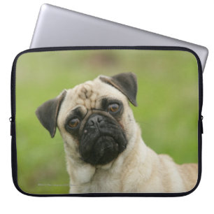 Pug Head die naar camera kijkt Laptop Sleeve