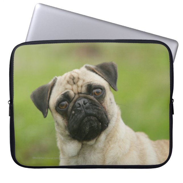 Pug Head die naar camera kijkt Laptop Sleeve (Voorkant)