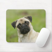 Pug Head die naar camera kijkt Muismat (Met muis)