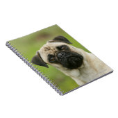 Pug Head die naar camera kijkt Notitieboek (Rechterzijde)