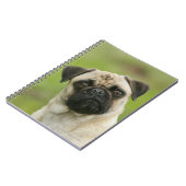 Pug Head die naar camera kijkt Notitieboek (Linkerzijde)