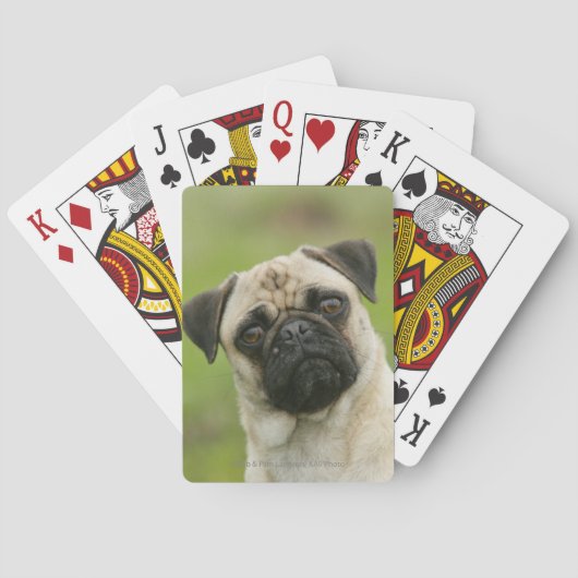 Pug Head die naar camera kijkt Pokerkaarten (Achterkant)