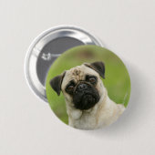 Pug Head die naar camera kijkt Ronde Button 5,7 Cm (Voorkant /achterkant)
