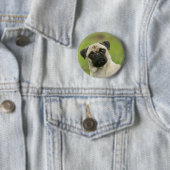 Pug Head die naar camera kijkt Ronde Button 5,7 Cm (In situ)