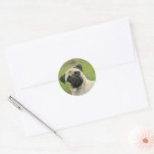 Pug Head die naar camera kijkt Ronde Sticker (Envelop)