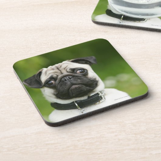 Pug headshot bier onderzetter (Linkerzijde)