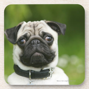 Pug headshot bier onderzetter