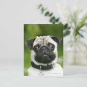 Pug headshot briefkaart (Staand voorkant)