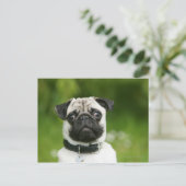 Pug headshot briefkaart (Staand voorkant)
