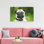 Pug headshot canvas afdruk (Insitu (Woonkamer))
