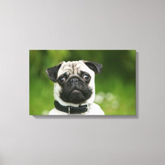 Pug headshot canvas afdruk (Voorkant)