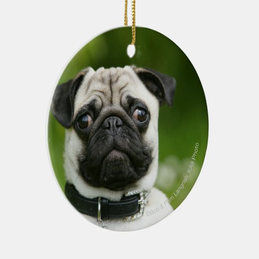 Pug headshot keramisch ornament (Rechts)
