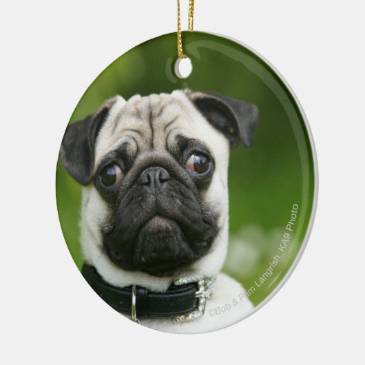 Pug headshot keramisch ornament (Links)