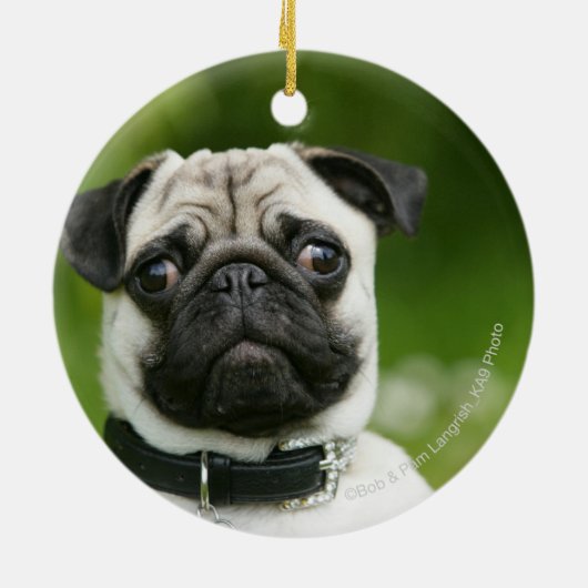 Pug headshot keramisch ornament (Achterkant)