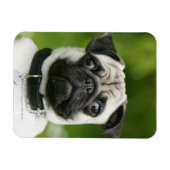 Pug headshot magneet (Horizontaal)