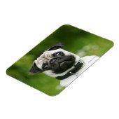 Pug headshot magneet (Linkerzijde)
