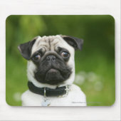 Pug headshot muismat (Voorkant)