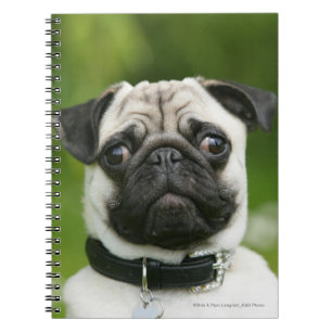 Pug headshot notitieboek