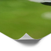 Pug headshot poster (Hoek)