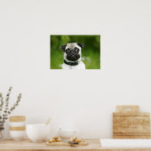 Pug headshot poster (Keuken)