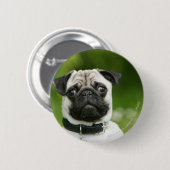 Pug headshot ronde button 5,7 cm (Voorkant /achterkant)