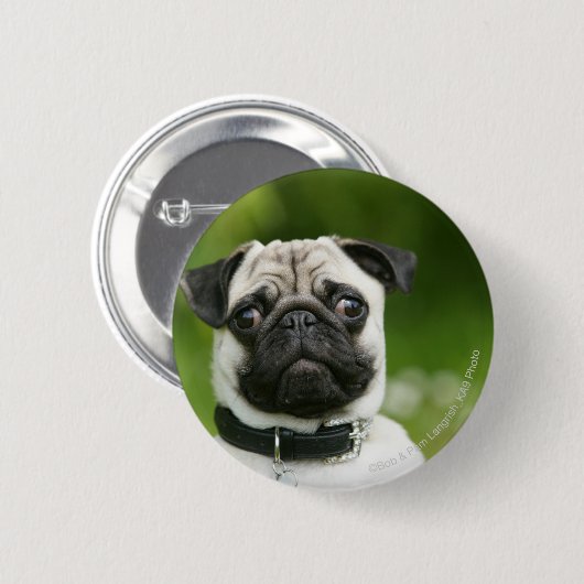 Pug headshot ronde button 5,7 cm (Voorkant /achterkant)