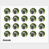 Pug headshot ronde sticker (Vel)