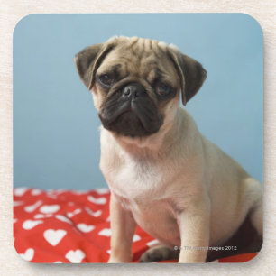 Pug Heart Puppy Onderzetter