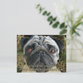 Pug het briefkaart van Kerstmis - onderzoek haar (Staand voorkant)