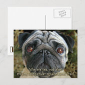 Pug het briefkaart van Kerstmis - onderzoek haar (Voorkant / Achterkant)