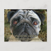 Pug het briefkaart van Kerstmis - onderzoek haar (Voorkant)