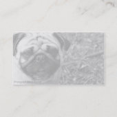 Pug het Visitekaartje van de Foto (Achterkant)