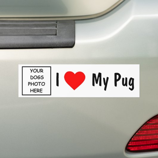 Pug (hond) bumpersticker (Op auto)