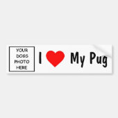 Pug (hond) bumpersticker (Voorkant)