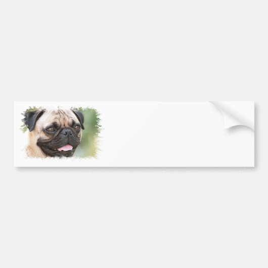 Pug Hond Bumpersticker (Voorkant)