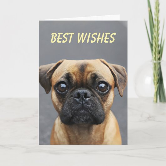 Pug Hond Dier Wensen Feestdagen Kaart (Voorkant)