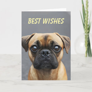 Pug Hond Dier Wensen Feestdagen Kaart