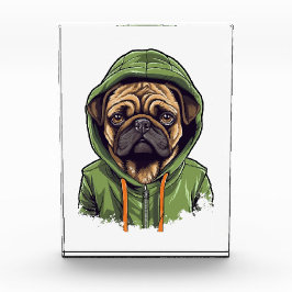 Pug Hond Dragen Groene Hoodie Fotoblokken