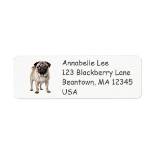 Pug Hond Etiket