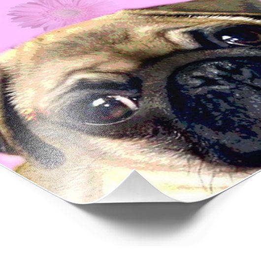 Pug hond foto afdruk (Hoek)