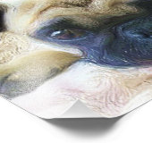 Pug hond foto afdruk (Hoek)